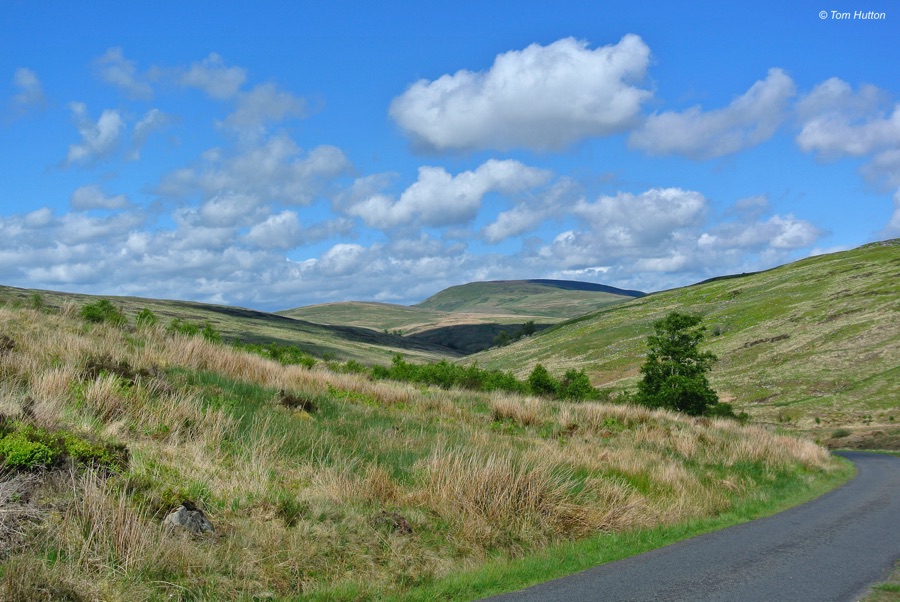 Tarras Valley Nature Reserve